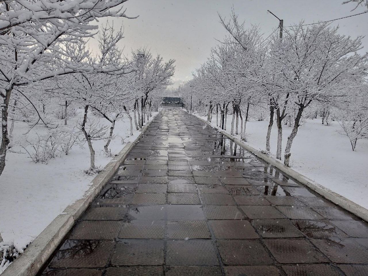 Дудина Дарья Городские улицы мед